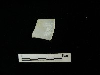 瓷片藏品圖，第2張