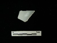 瓷片藏品圖，第2張