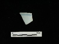 瓷片藏品圖，第2張