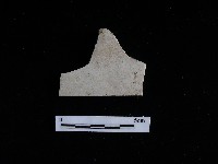 瓷片藏品圖，第1張