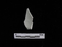 瓷片藏品圖，第1張