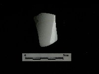 瓷杯藏品圖，第2張