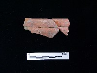 陶片藏品圖，第2張