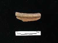 陶片藏品圖，第2張