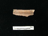 陶片藏品圖，第1張