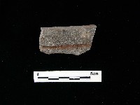 陶片藏品圖，第2張