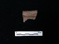 陶片藏品圖，第2張