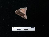 陶片藏品圖，第2張