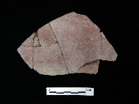 陶片藏品圖，第1張