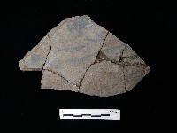 陶片藏品圖，第2張