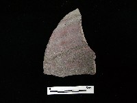 陶片藏品圖，第3張