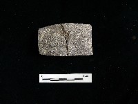 陶片藏品圖，第1張