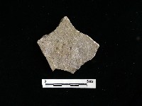 陶片藏品圖，第2張