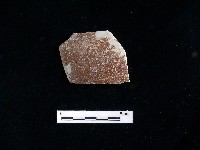 陶片藏品圖，第2張