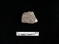 陶片藏品圖，第1張