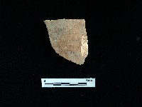 陶片藏品圖，第1張