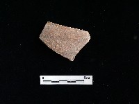 陶片藏品圖，第2張