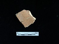 陶片藏品圖，第2張