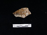 陶片藏品圖，第2張