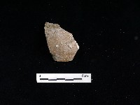 陶片藏品圖，第1張