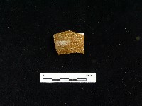 陶片藏品圖，第2張