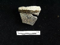 陶片藏品圖，第1張