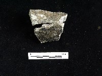 陶片藏品圖，第2張