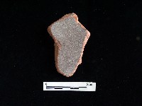 陶片藏品圖，第2張