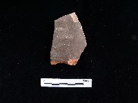 陶片藏品圖，第2張