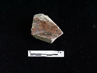 陶片藏品圖，第2張