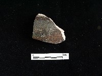 陶片藏品圖，第1張