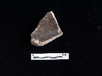 陶片藏品圖，第2張