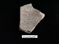 陶片藏品圖，第2張