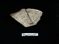 陶片藏品圖，第2張