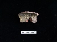 陶片藏品圖，第1張