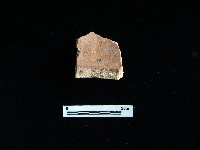 陶片藏品圖，第1張