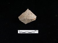 陶片藏品圖，第1張