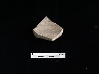 陶片藏品圖，第2張