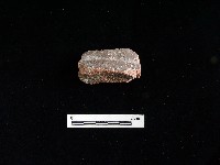 陶片藏品圖，第1張