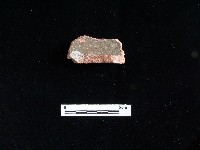 陶片藏品圖，第2張