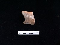 陶片藏品圖，第1張