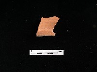 陶片藏品圖，第2張