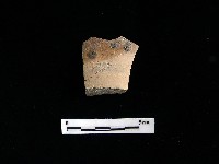 陶片藏品圖，第2張