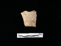 陶片藏品圖，第1張