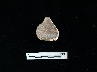 陶片藏品圖，第1張