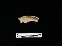 陶片藏品圖，第2張