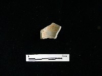 陶片藏品圖，第2張