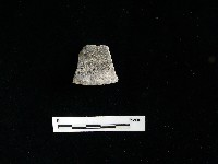 陶片藏品圖，第2張