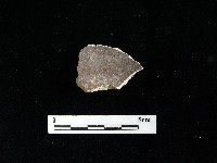 硬陶蓋藏品圖，第2張