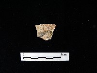 壺蓋藏品圖，第2張